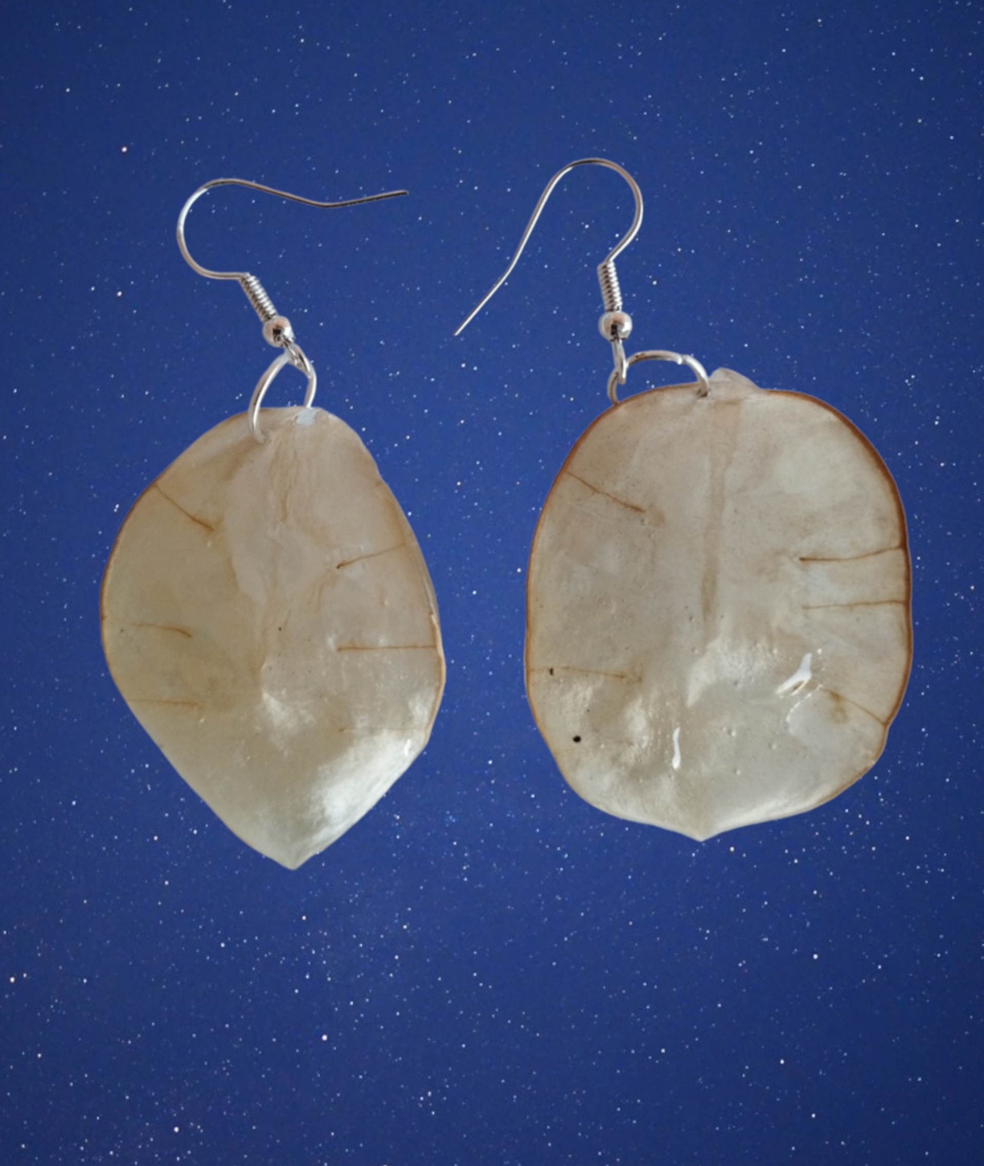 Pendientes de Lunaria Bañados en Resina Epoxi - 2