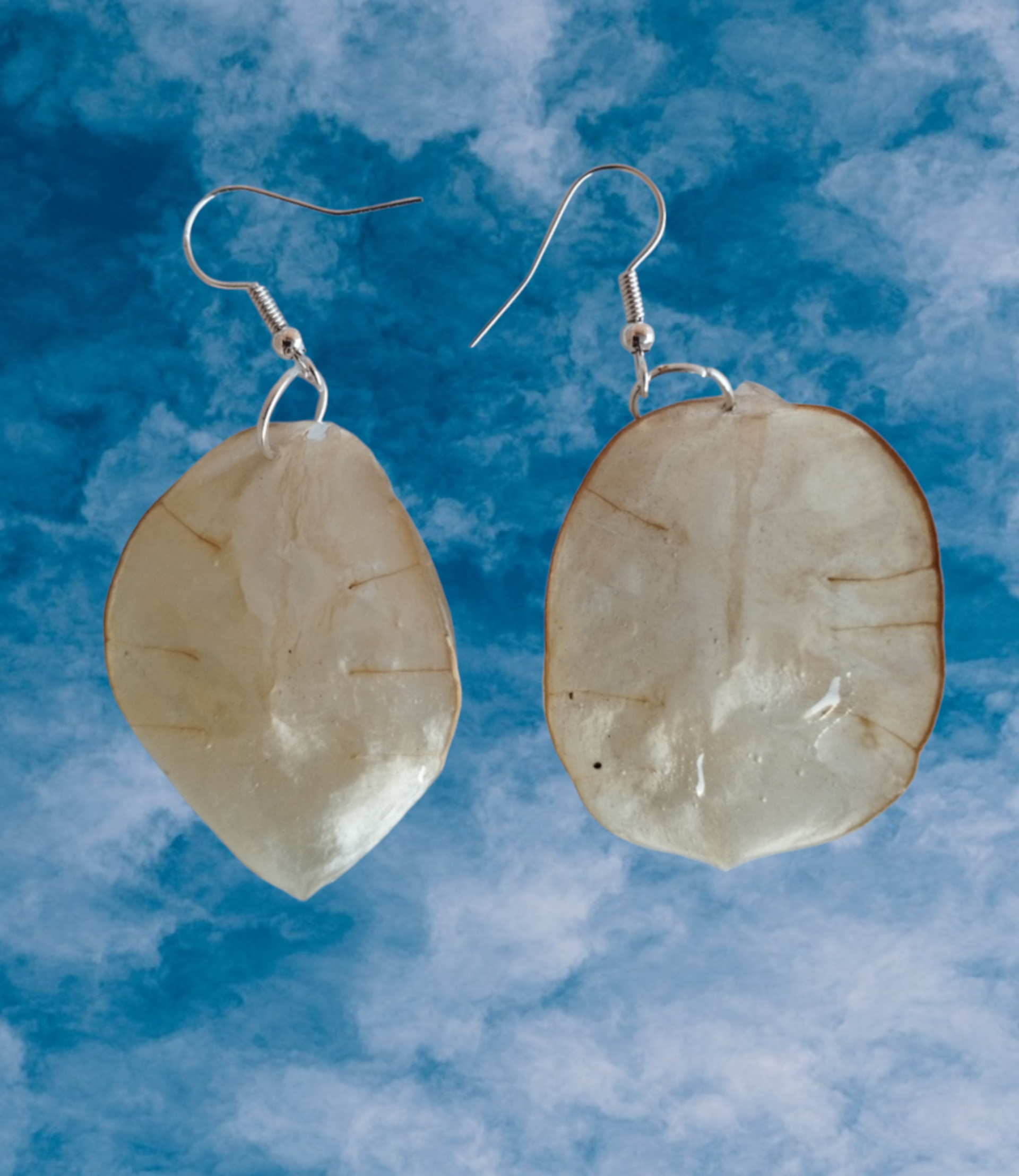 Pendientes de Lunaria Bañados en Resina Epoxi - 1
