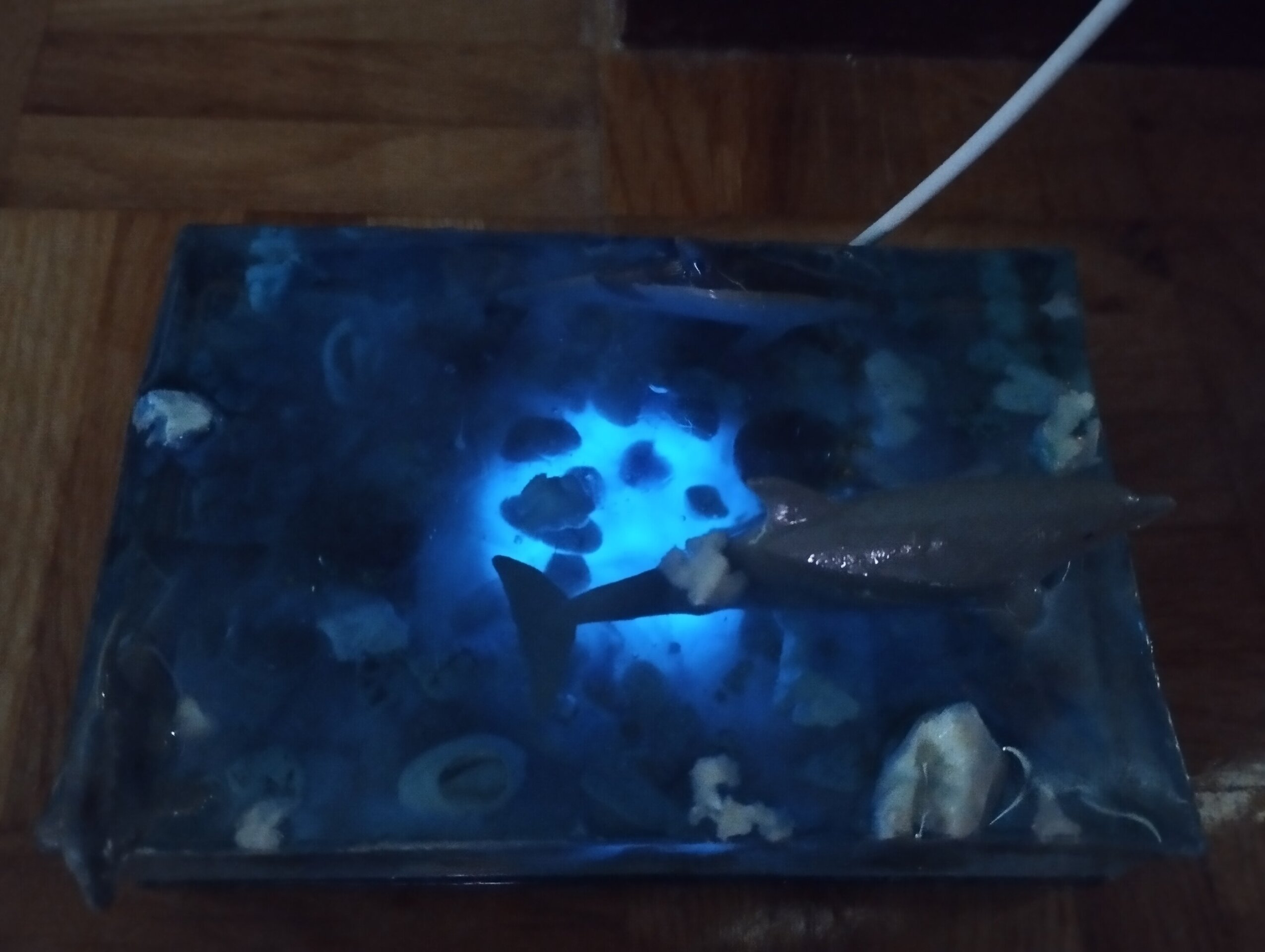 Lámpara de Resina Epoxi:Bloque Marino con Agua Fosforescente y Delfines Asomando - 3