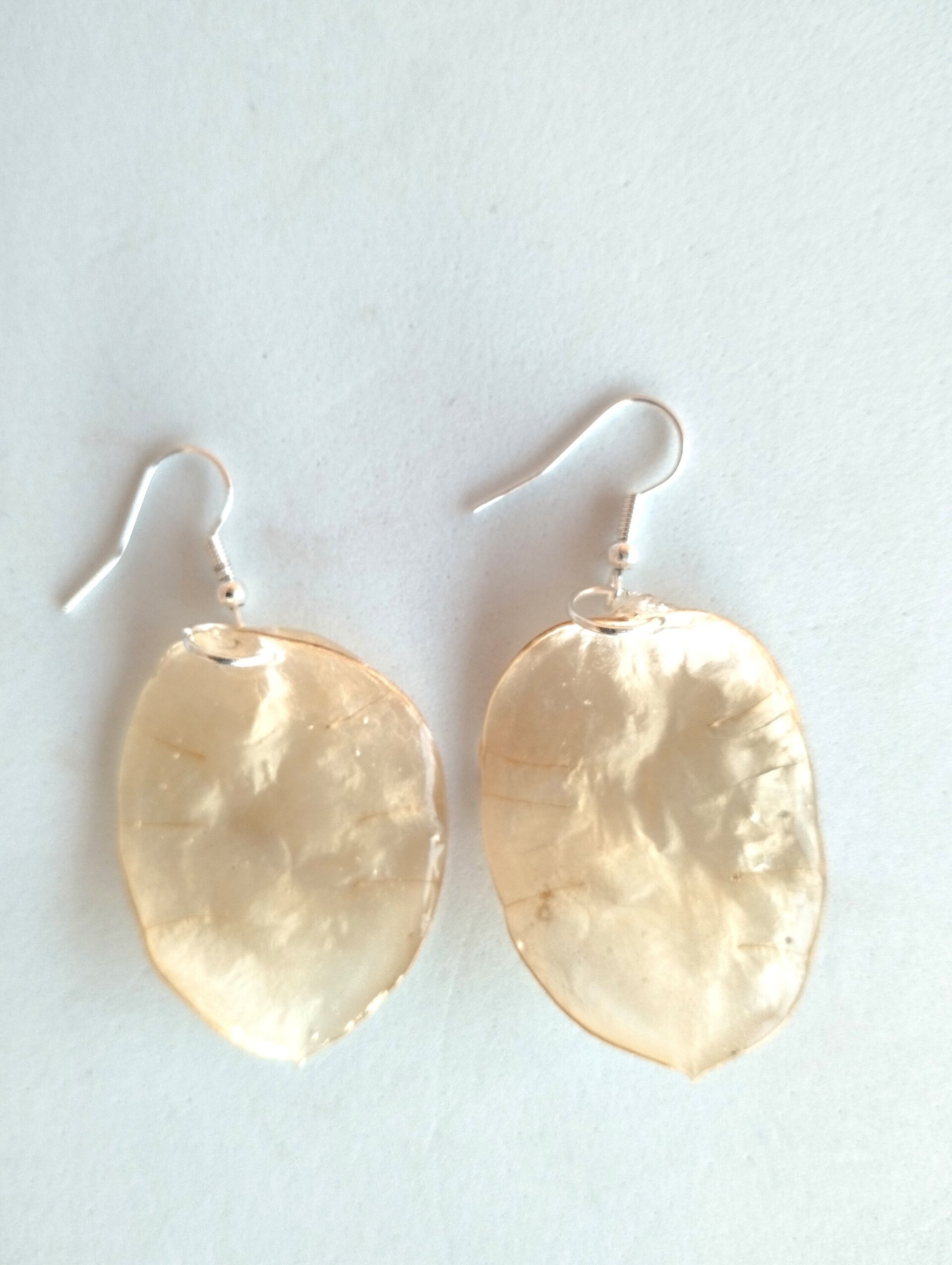 Pendientes de Lunaria Bañados en Resina Epoxi - 6