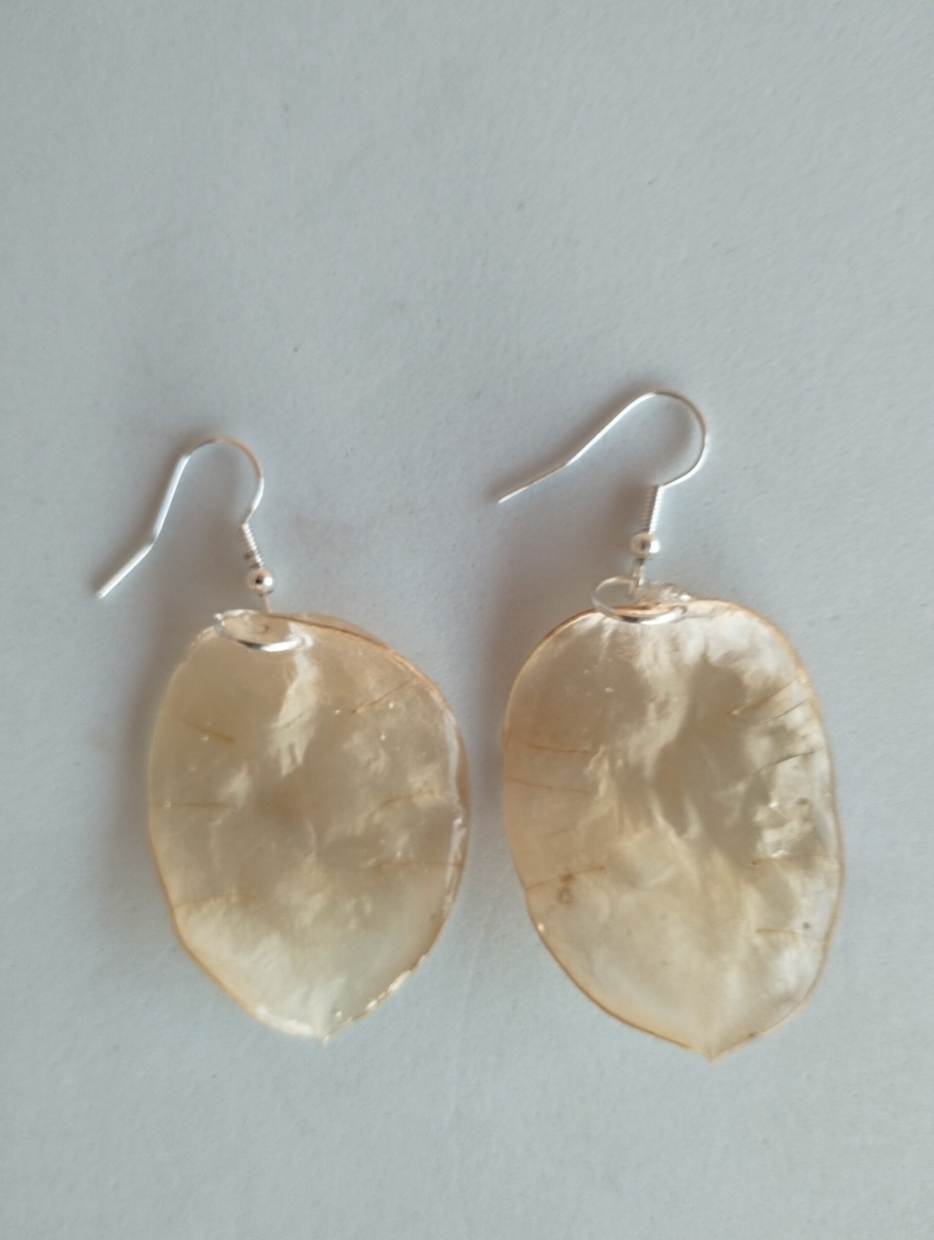 Pendientes de Lunaria Bañados en Resina Epoxi - 4