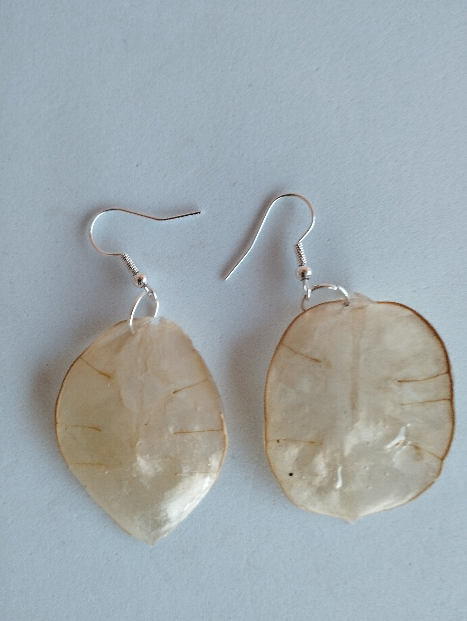 Pendientes de Lunaria Bañados en Resina Epoxi - 7